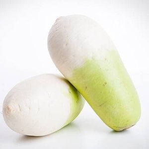 무 seeds (40+) korean radish seeds