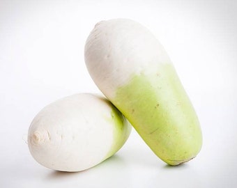 무 seeds (40+) korean radish seeds