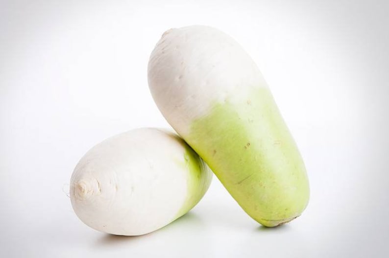 무 Seeds 40 Korean Radish Seeds Etsy Australia