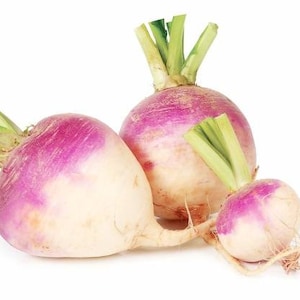 Puede incluir: Tres nabos de color morado con hojas verdes. Los nabos están dispuestos en un grupo sobre un fondo blanco.