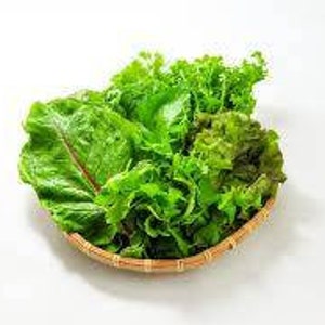 쌈 샐러드 mescolare semi (100+) semi di insalata misti