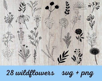 Paquete svg de flores dibujado a mano, paquete svg floral, paquete svg de plantas, paquete svg botánico
