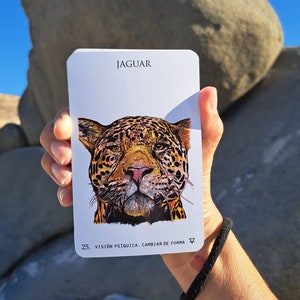 Power Animals Oracle Deck for Ceremonies and Readings,  unique tarot oracle deck, spirit animal cards with printed guide hand drawn artistic