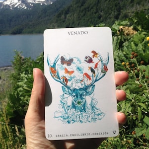 Power Animal Ceremonial Oracle Cards - Illustrated Animals Divination Cards - Shamanic Guidance and Glossy Deck Guide for Spiritual Guidance
