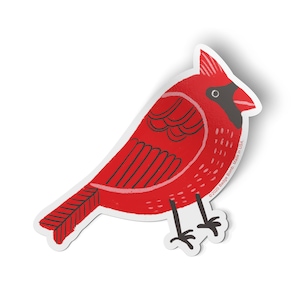 Cardenal norteño rojo Pegatina