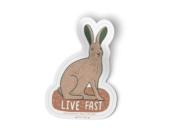 Live Fast Desert Hare Big Sticker