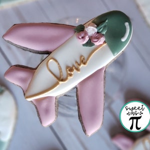 May include: A pink and white airplane cookie decorated with green icing and pink flowers. The cookie has the word "Love" written in gold icing.