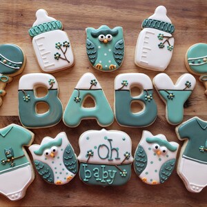 Owl Baby Shower Sugar Cookies – Decorated Royal Icing, 14 Piece Set