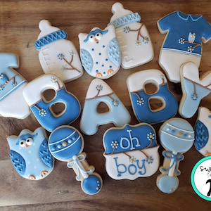 Owl Baby Shower Sugar Cookies: Decorated Boy Theme, 14 Piece Set