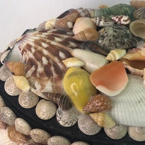 Vintage Folk Art Sea Shell Oval Lidded Box image 5