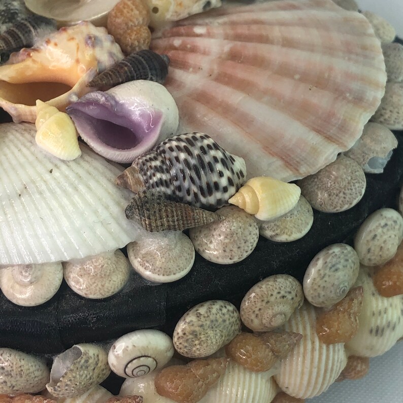 Vintage Folk Art Sea Shell Oval Lidded Box image 4