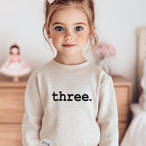 Toddler Sweatshirt, Children&#39;s Birthday Sweatshirt, Kids Birthday Sweatshirt, Lots Of Text & Sweatshirt Colors, Toddler Crewneck Sweatshirt