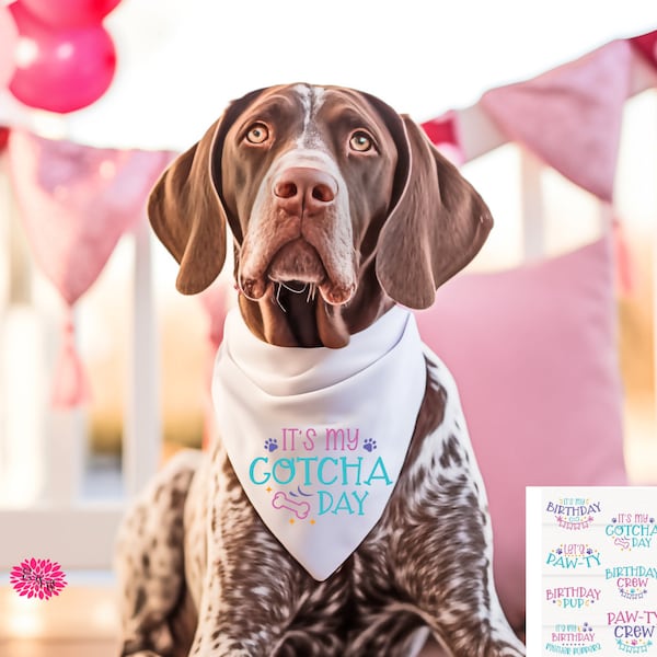 Dog Bandana, Dog Birthday Bandana, Dog Gotcha Day Bandana, Dog Birthday Party Bandana, Doggie Birthday Bandana, Puppy Bandana Photo Prop