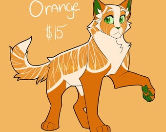 Orange Adoptable