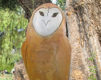 AZ barn owl