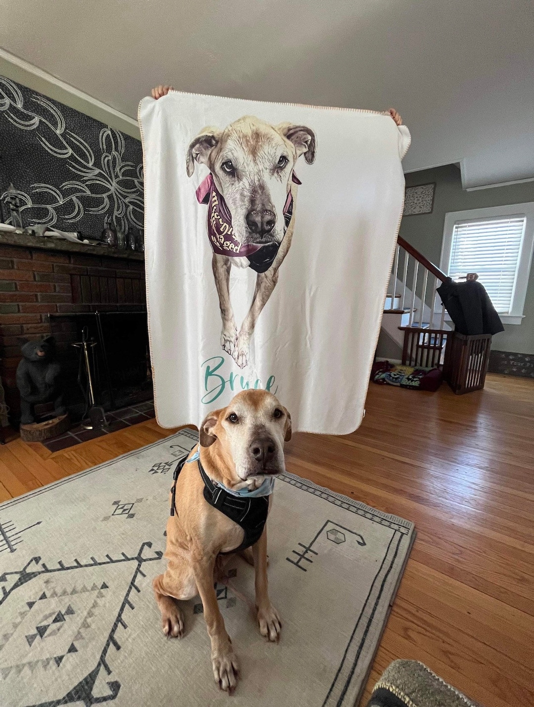 Custom Pet Photo Blanket: Personalized Dog or Cat Name Blanket - Etsy