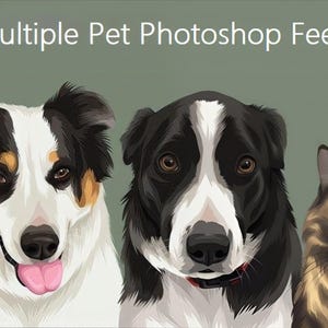 Może przedstawiać: Cyfrowa ilustracja trzech zwierząt domowych: czarno-białego psa z brązowymi znaczeniami, czarno-białego psa i brązowo-czarnego kota. Psy patrzą w obiektyw, podczas gdy kot patrzy w bok. Obrazek nosi tytuł "Multiple Pet Photoshop Fee".