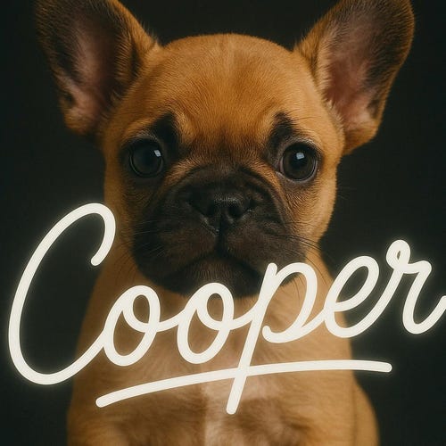 CustomCooper logo