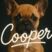 CustomCooper