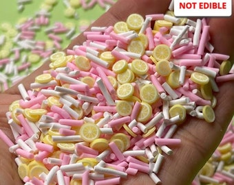 May include: A handful of colorful polymer clay sprinkles. The mix includes yellow lemon slices, pink and white sticks. The text "NOT EDIBLE" is in the upper right corner. The bottom right corner has the Playcode3 logo.