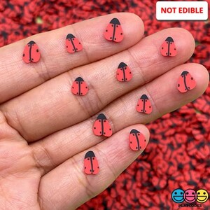 May include: A hand holding a variety of small red and black ladybug shaped embellishments. The text "NOT EDIBLE" is visible in the upper right corner of the image.