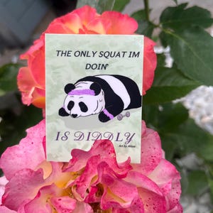 Diddly Squat-Aufkleber