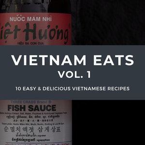 VIETNAM EATS Vol. 1 Ten Easy & Delicious Vietnamese Recipes Ebook Instant Download image 1