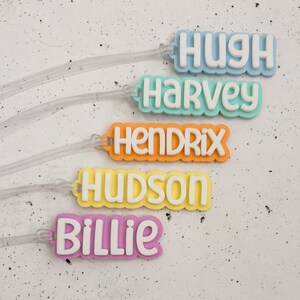 May include: Five colourful name tags, each with a different name in white, rounded lettering: "Hugh", "Harvey", "Hendrix", "Hudson", and "Billie". The tags are light blue, teal, orange, yellow, and pink. Clear plastic loops are attached to each tag.