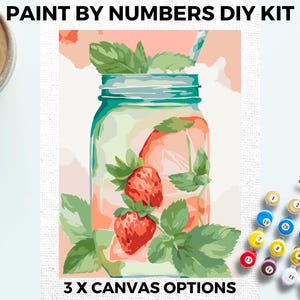 Strawberry Cocktail PAINT by NUMBERS Kit Adults Minimalistic Chic DIY Painting Easy Beginners Hobby Painting Kit Wall Art Gift