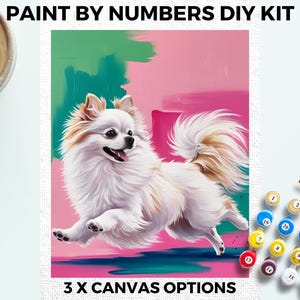 Pomeranian Dog PAINT by NUMBERS Kit Adults Minimalistic Chic DIY Painting Easy Beginners Hobby Painting Kit Wall Art Pet Lovers Gift