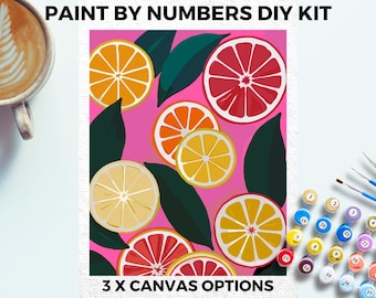 Kit de pintura cítrica rosa da NUMBERS para adultos, minimalista, chique, faça você mesmo, pintura fácil para iniciantes, kit de pintura para hobby, arte de parede, presente para mãe, namorada, amiga