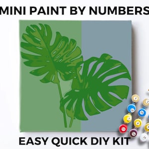Plant Mini PAINT by NUMBERS Kit Adults Minimalistic Chic DIY Painting Easy Beginners Hobby Painting Kit Wall Art Gift  Swiss Cheese Monstera
