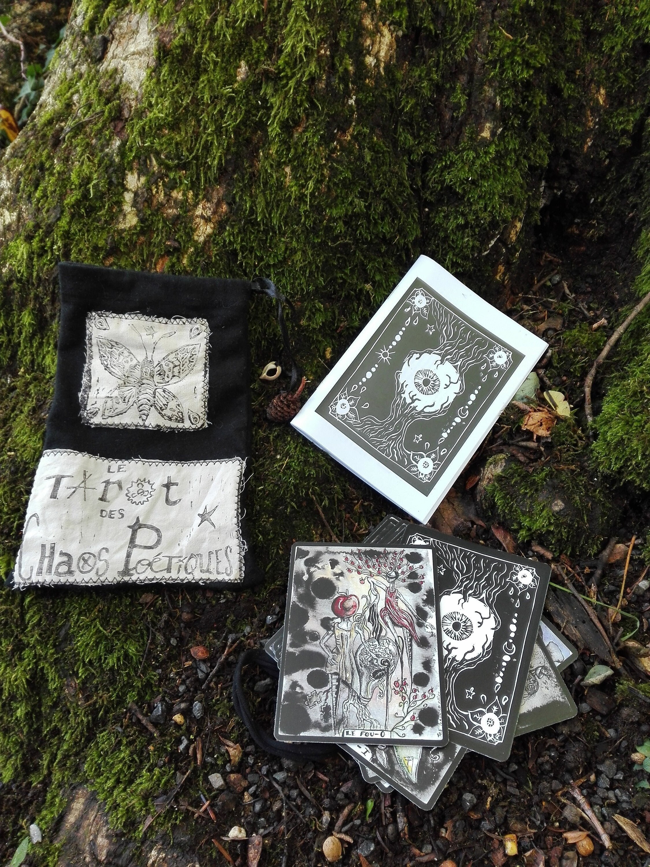 Le Tarot Des Chaos Poétiques