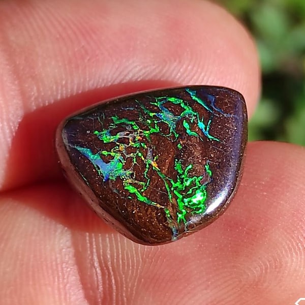 Koroit Boulder Opal from Queensland, Australia (collection, gift idea, creation, lithotherapy)