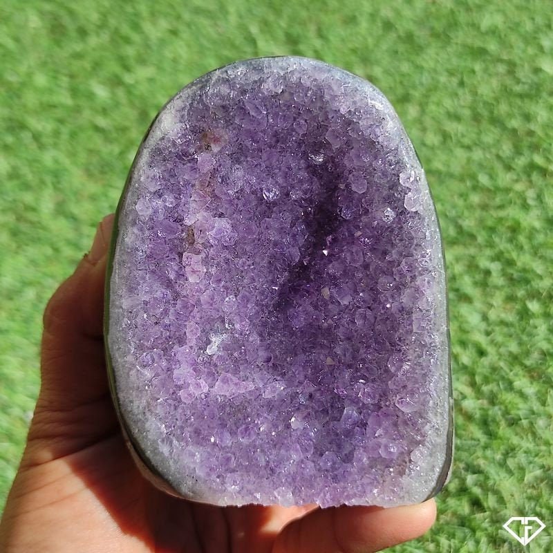 Druse Améthyste Naturelle d'uruguay | Collection, Décoration, Lithothérapie, Idée Cadeau