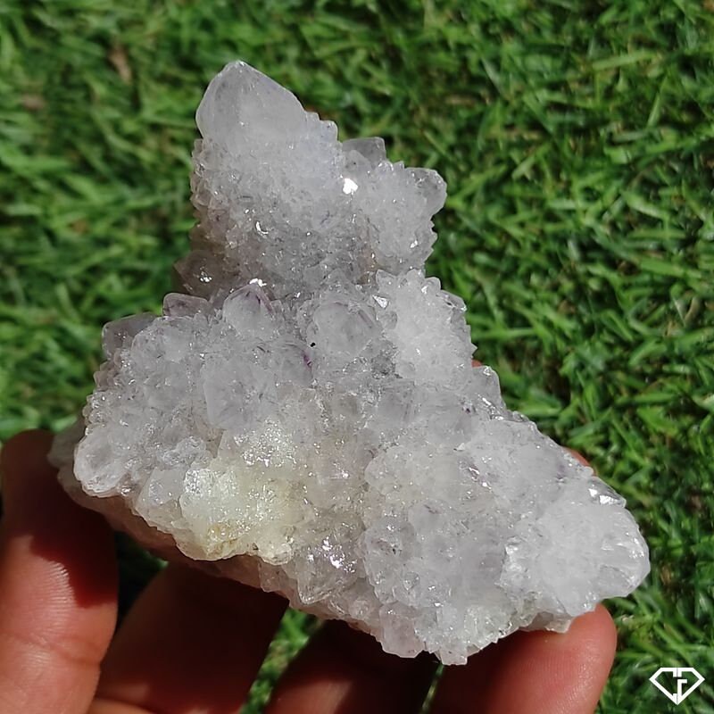 Améthyste Cactus Brute - Collection, Décoration, Lithothérapie, Idée Cadeau