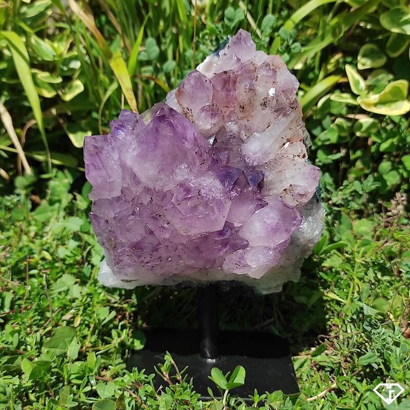 Druse Améthyste sur Socle Du Brésil | Collection, Décoration, Lithothérapie, Idée Cadeau