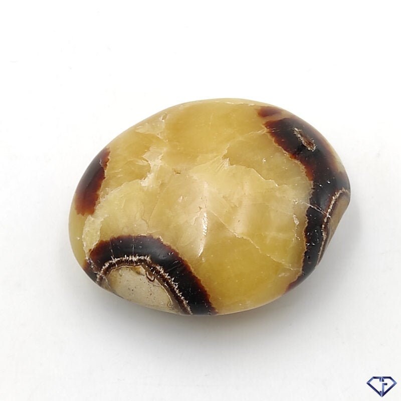 Septaria Galet - Pierre Du Dragon Madagascar | Collection, Décoration, Lithothérapie, Idée Cadeau