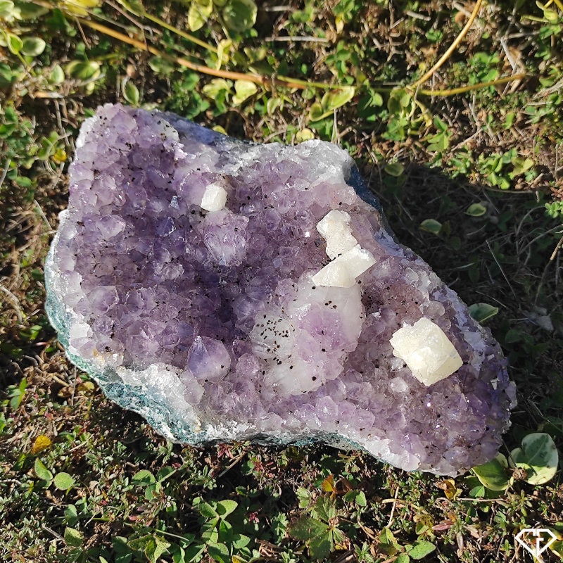 Druse Améthyste Naturelle Du Brésil 22cm | Collection, Décoration, Lithothérapie, Idée Cadeau