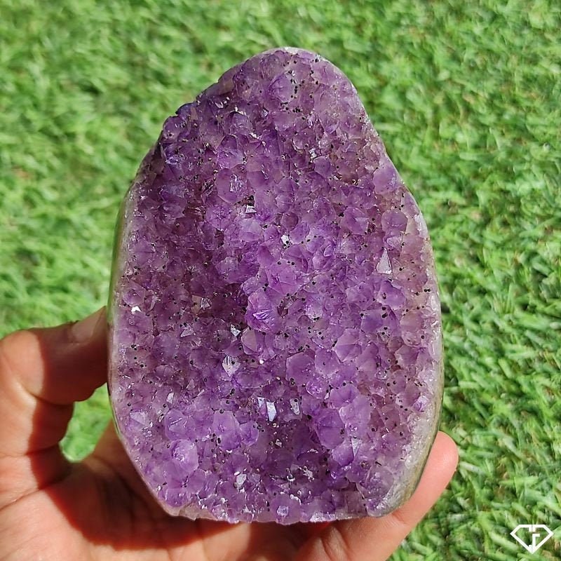 Druse Améthyste Naturelle d'uruguay | Collection, Décoration, Lithothérapie, Idée Cadeau