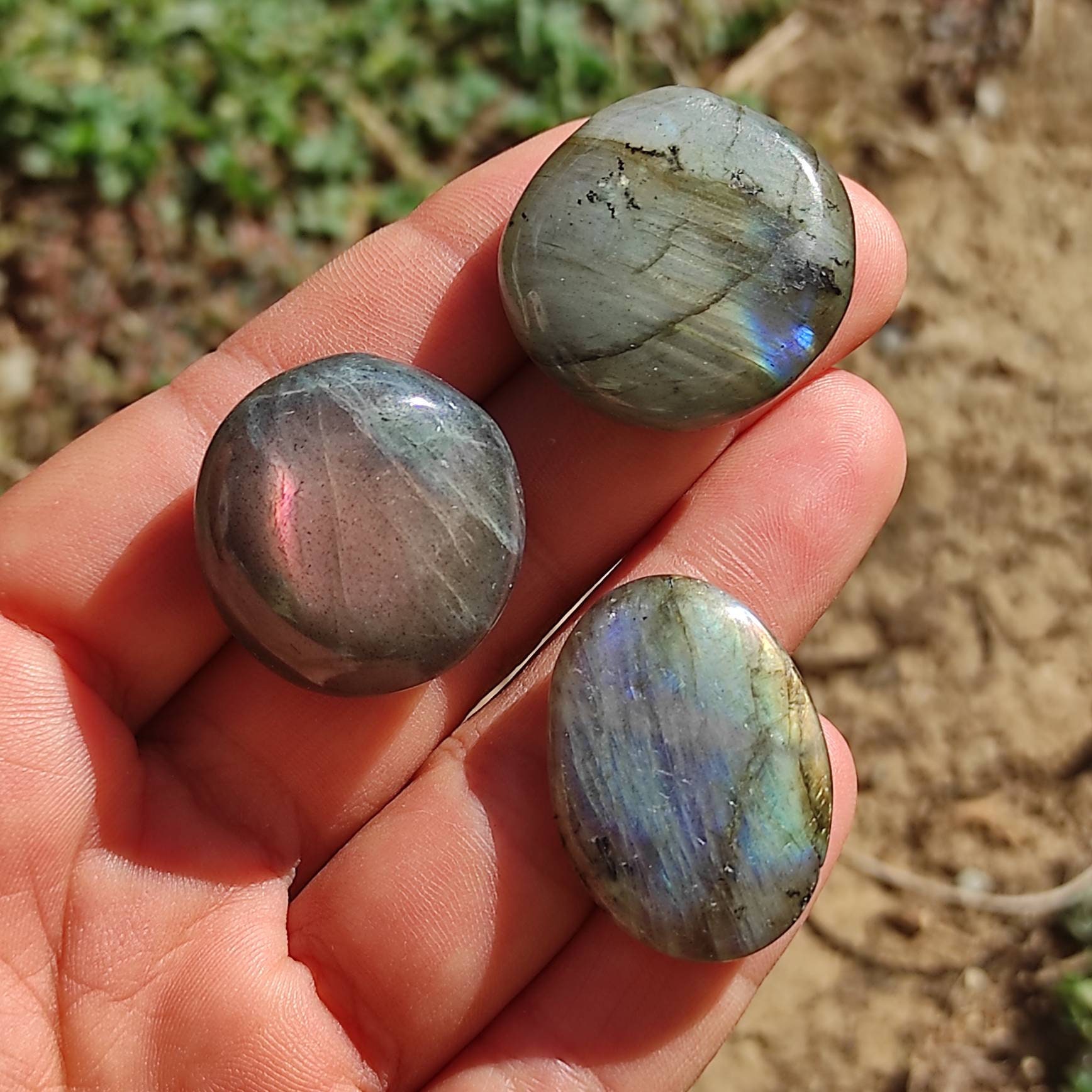 Labradorite - Lot de 3 Galets Polis Collection, Lithothérapie, Idée Cadeau