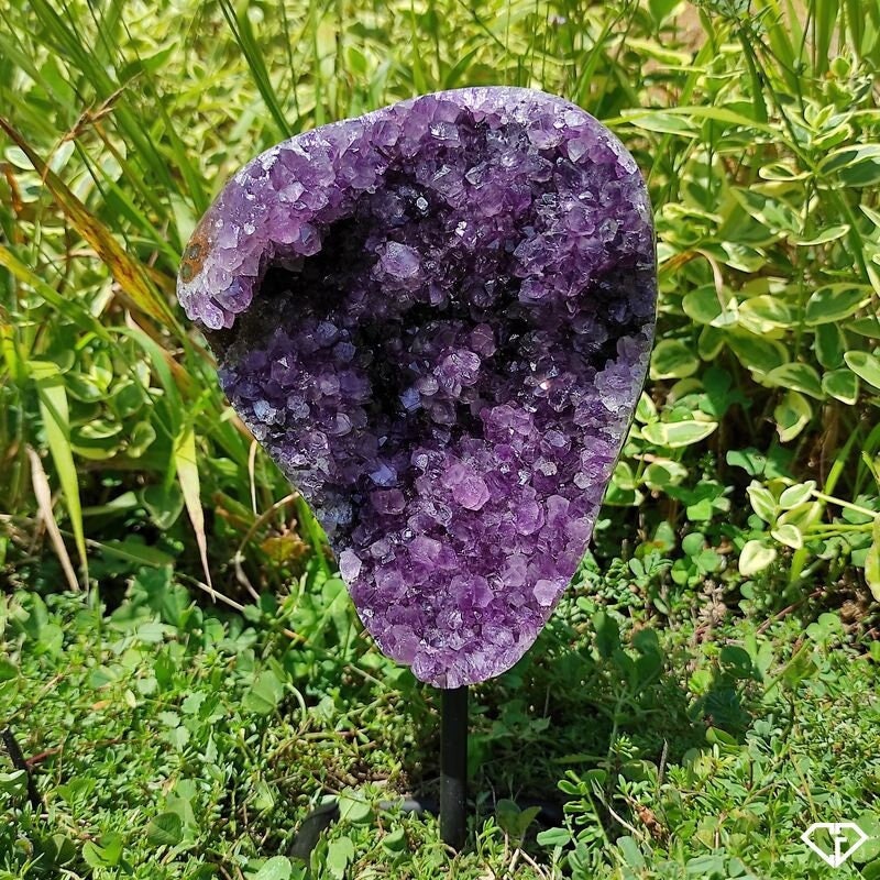 Druse Améthyste sur Socle Du Brésil | Collection, Décoration, Lithothérapie, Idée Cadeau