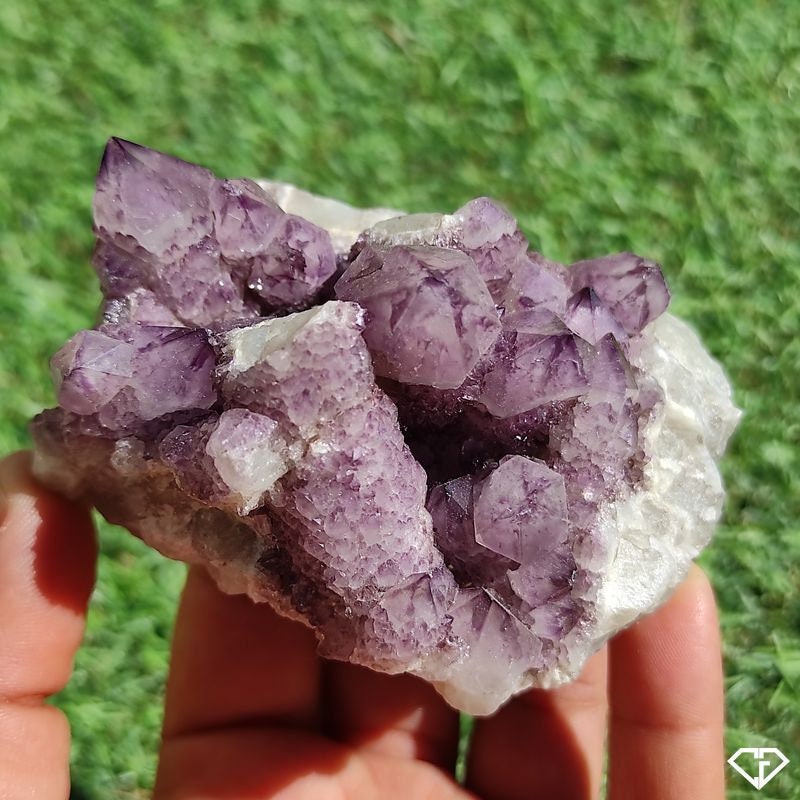 Améthyste Cactus Brute - Collection, Décoration, Lithothérapie, Idée Cadeau