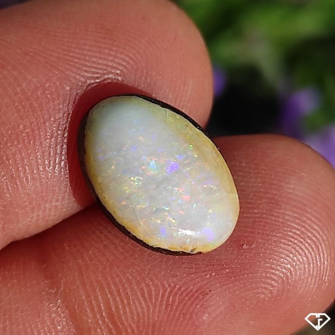 Opale Brute (boulder) Du Queensland - 51,90 Carats, Cabochon, Cadeau Noël