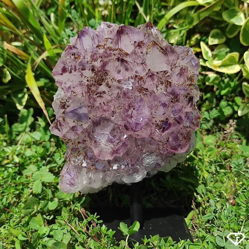 Druse Améthyste sur Socle Du Brésil | Collection, Décoration, Lithothérapie, Idée Cadeau