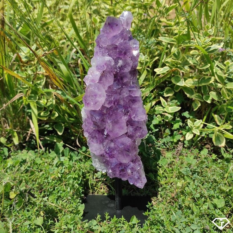 Druse Améthyste sur Socle Du Brésil | Collection, Décoration, Lithothérapie, Idée Cadeau