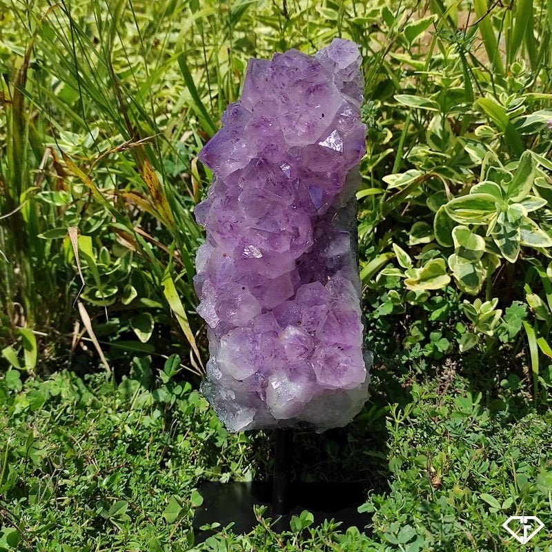 Druse Améthyste sur Socle Du Brésil | Collection, Décoration, Lithothérapie, Idée Cadeau