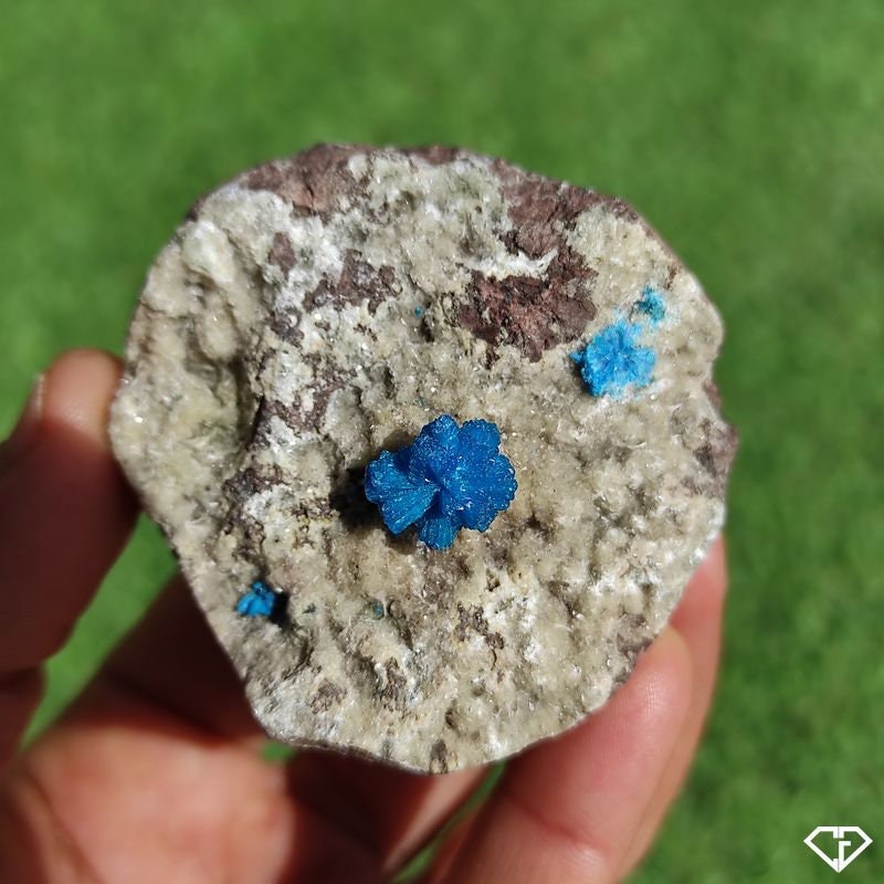 Cavansite sur Stilbite - Pierre Naturelle d'inde | Collection, Décoration, Lithothérapie, Idée Cadea