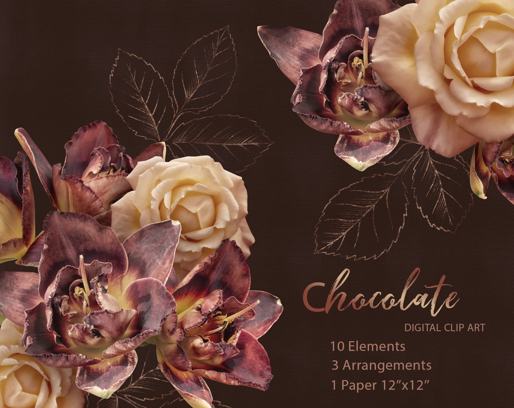 Dark Chocolate Flowers Clipart Brown Lily and Rose Clipart Etsy