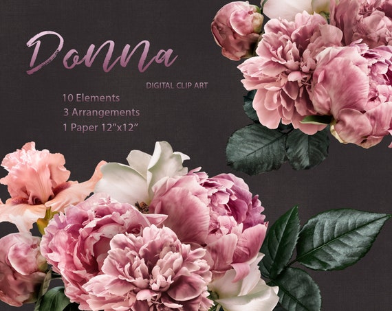 Vintage Flowers Clip art Roses Anemone Ranunculus Clipart Floral Elements PNG Flower DIY invites scrapbooking wedding invitations